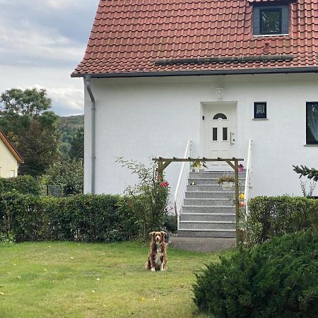 טאלה Ferienhaus Am Muehlgraben מראה חיצוני תמונה