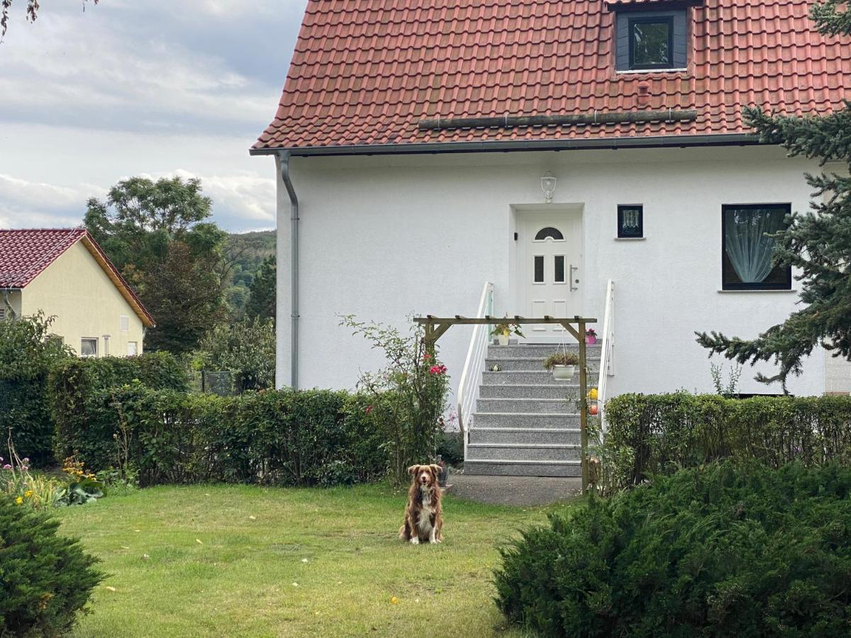 טאלה Ferienhaus Am Muehlgraben מראה חיצוני תמונה